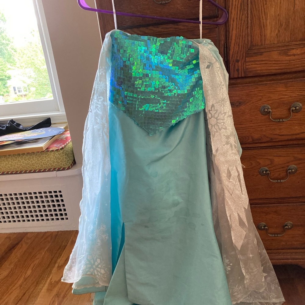 Chasing Fireflies Elsa costume